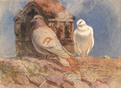 Tauben ruhen auf einem Dach, Belles Roches, Lausanne, 1856 von Henry Moore